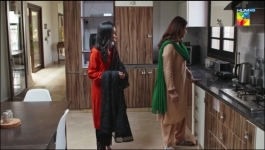 Bichoo - 19th Jun 2022